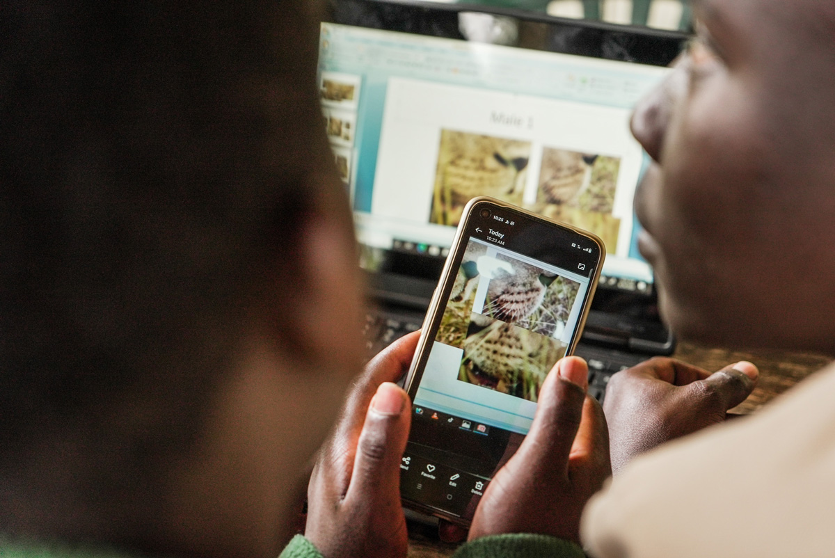 Kyambura Lion Monitoring Project
